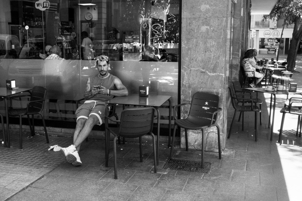 Fauna urbana, amb&nbsp;Wi-Fi